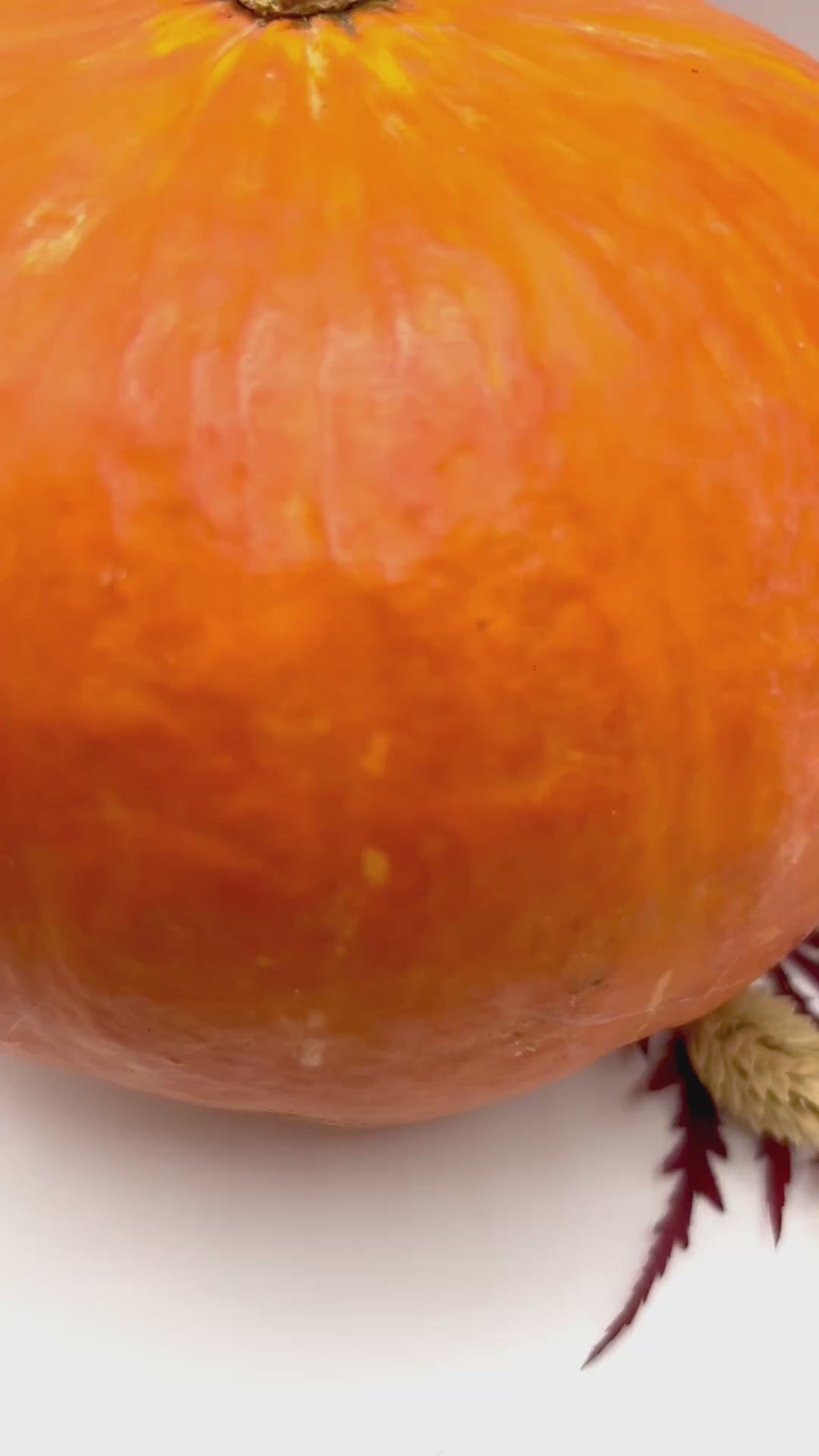 Halloween Ohrringe, Herbst Schmuck, Ohrringe für Damen
