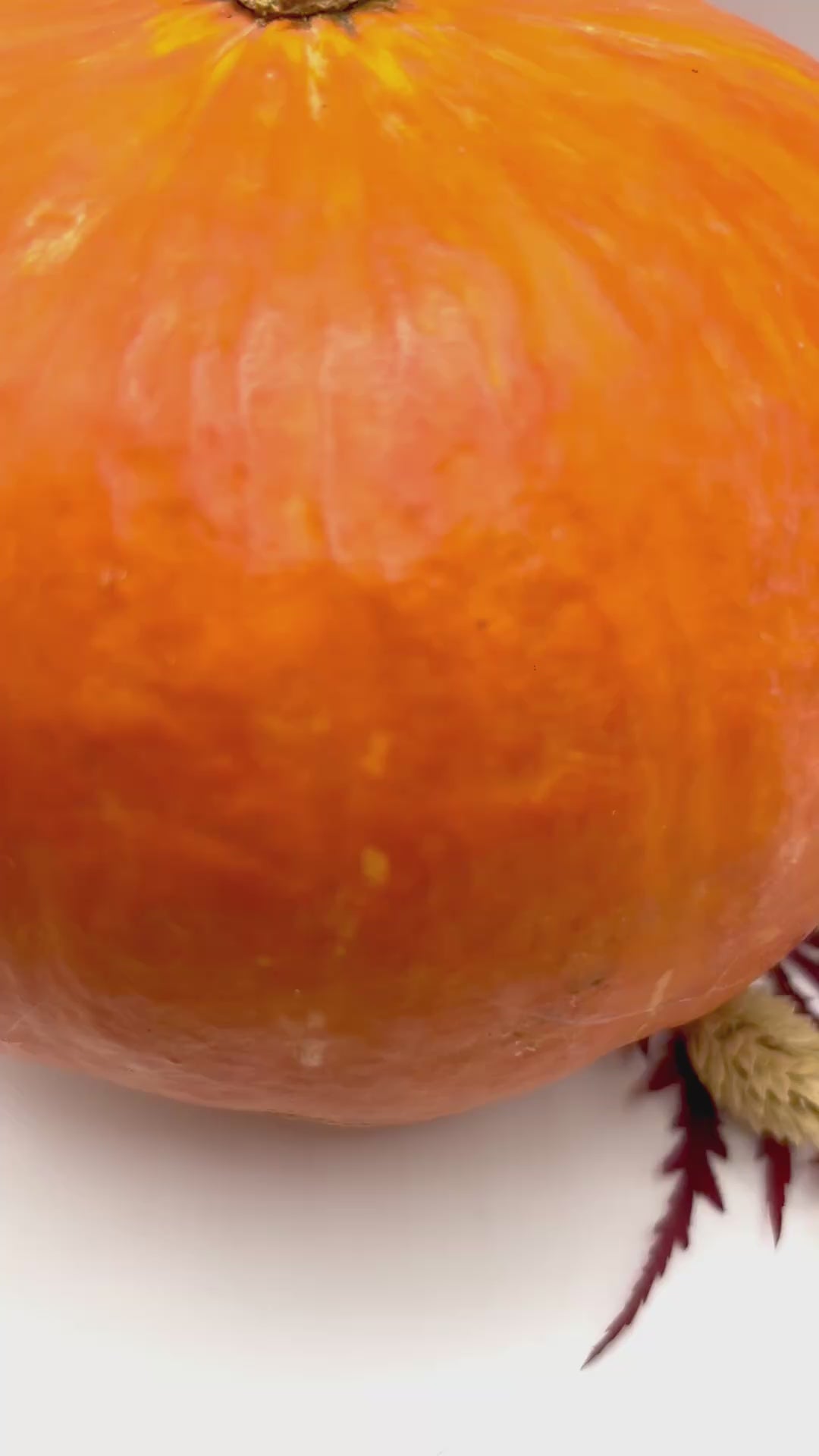 Halloween Ohrringe, Herbst Schmuck, Ohrringe für Damen